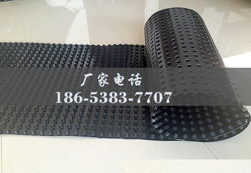 排水板廠家http://www.mwhl.cn/